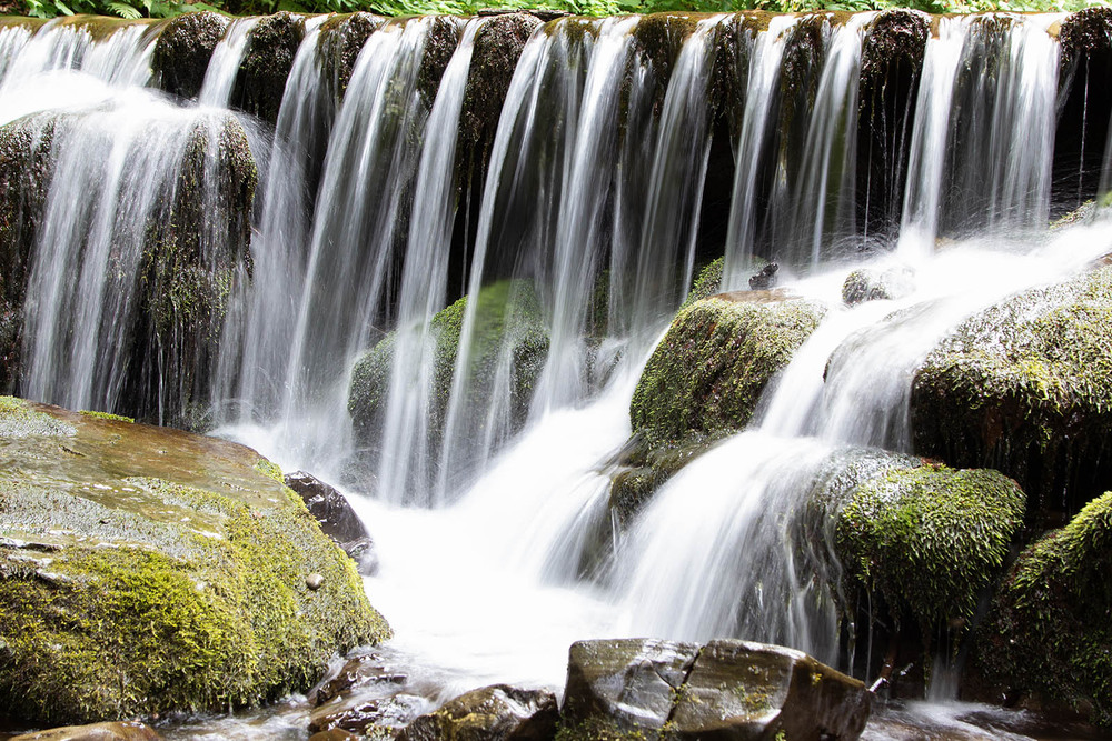 Фотографія "Шипіт" / Ігор Букай / photographers.ua