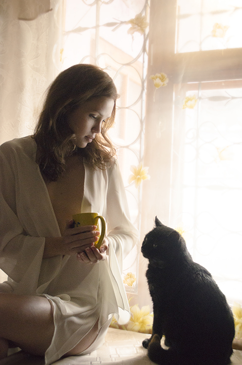 Фотографія тёплый чай и тёплые коты... / Gil`da / photographers.ua