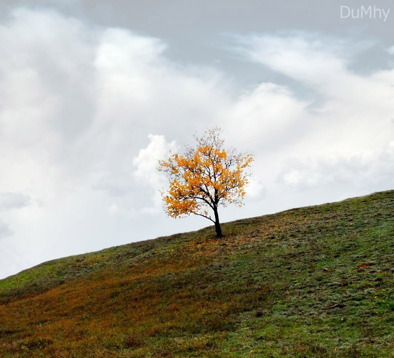 Фотографія осень чувствует счастье / Gil`da / photographers.ua