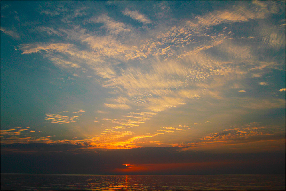 Фотографія Сьогодні буде добрий день / Edward / photographers.ua