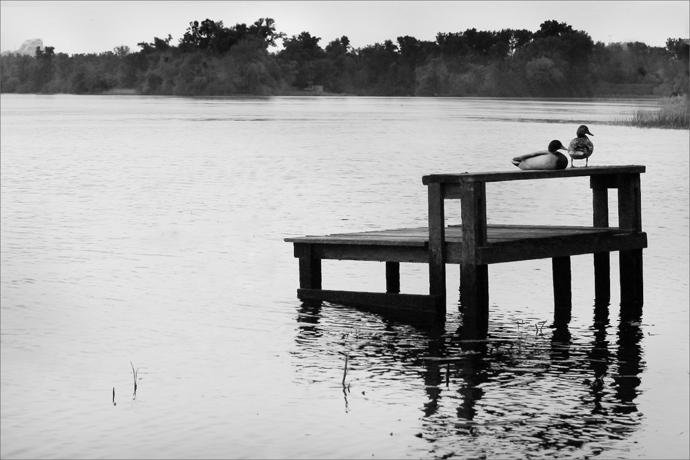 Фотографія Тиха вода / Edward / photographers.ua