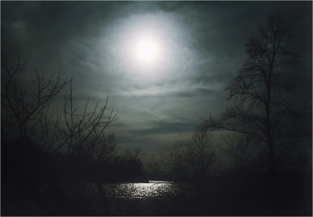 Фотографія А ведь реки, как души, все разные... / Edward Kulish / photographers.ua