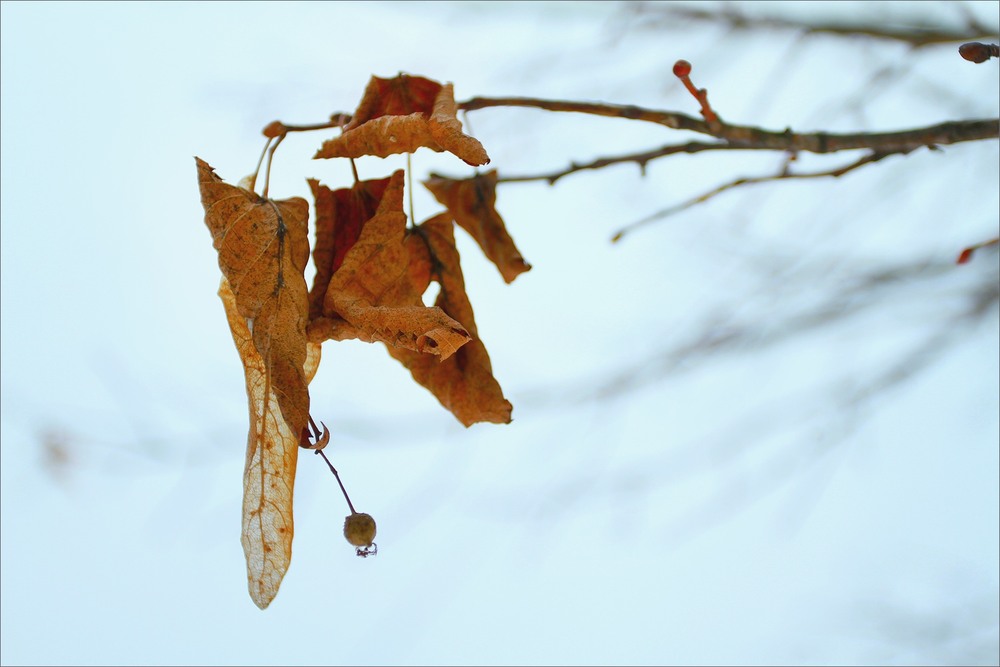 Фотографія Пейзаж / Edward / photographers.ua