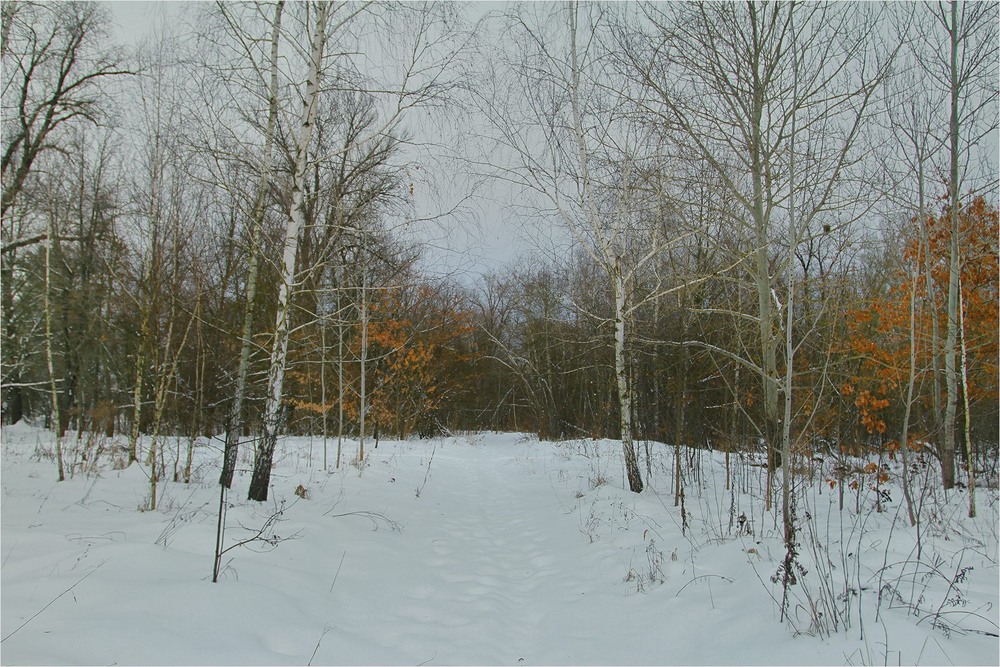 Фотографія Пейзаж / Edward / photographers.ua