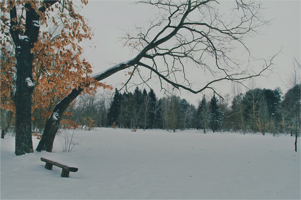 Фотографія Пейзаж / Edward / photographers.ua