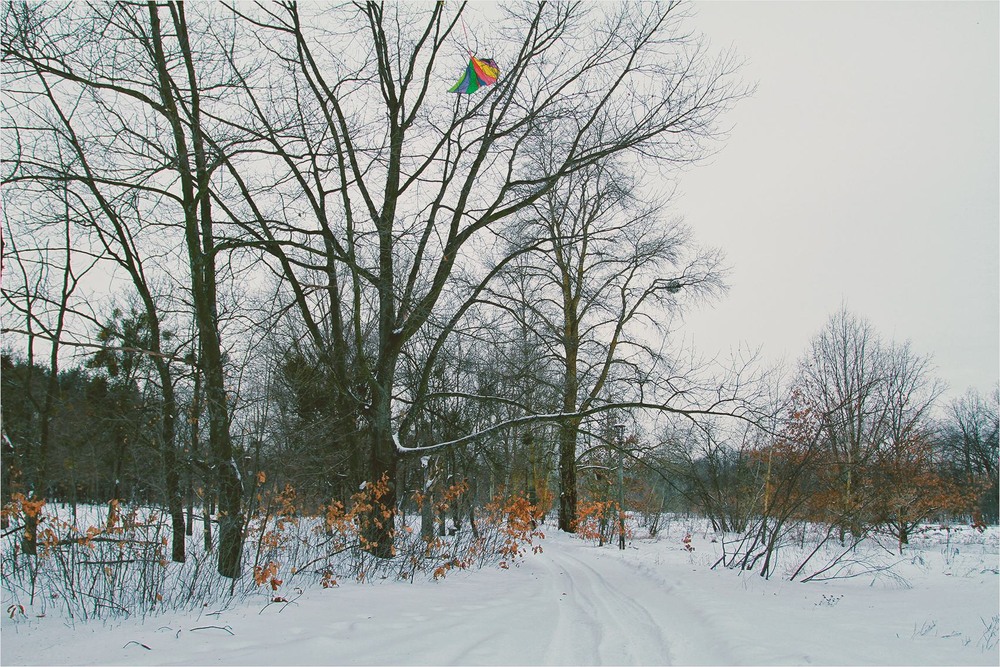 Фотографія Мандри зимовими стежками / Edward / photographers.ua