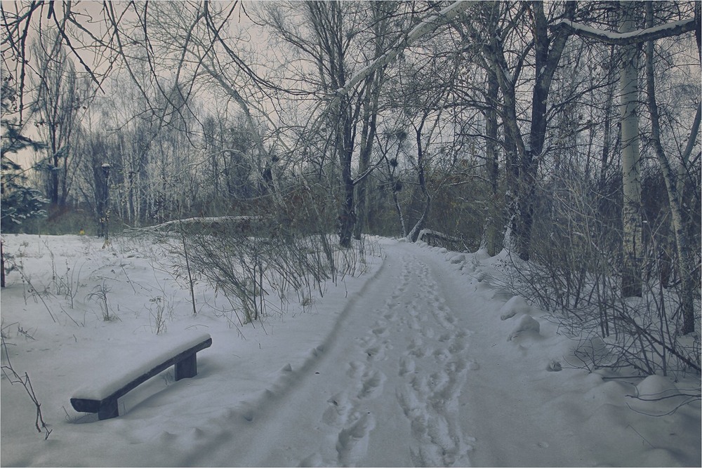 Фотографія У кожного мрійника свої стежки / Edward / photographers.ua