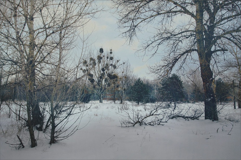 Фотографія Весна вже посміхнулася зимі / Edward / photographers.ua