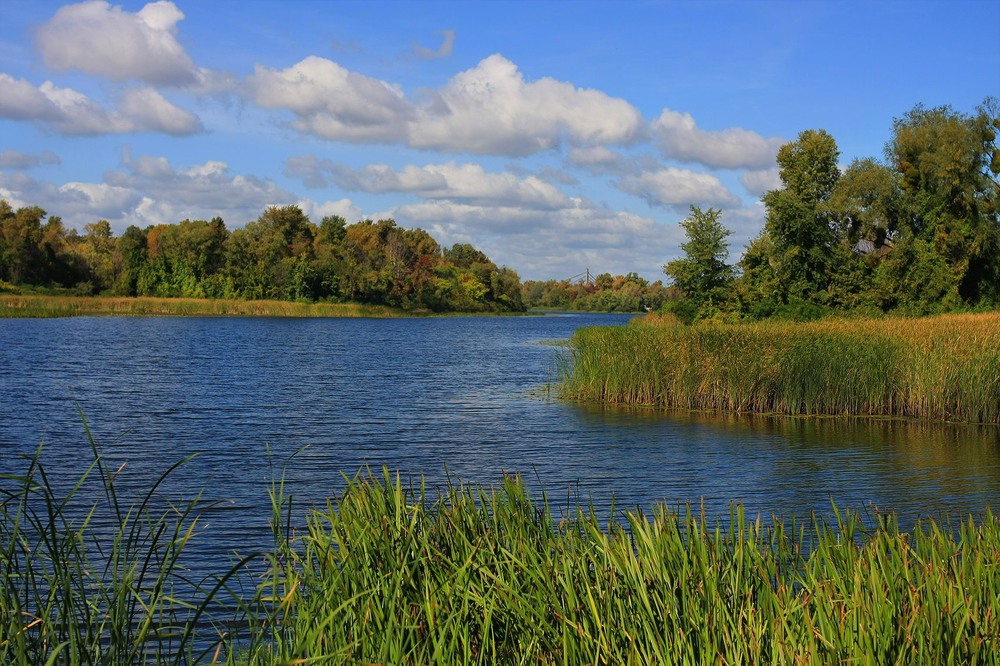 Фотографія Вид на Північний міст / Edward / photographers.ua