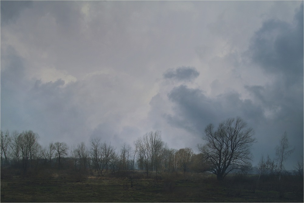 Фотографія Серія "Паркові походеньки". Весна / Edward / photographers.ua