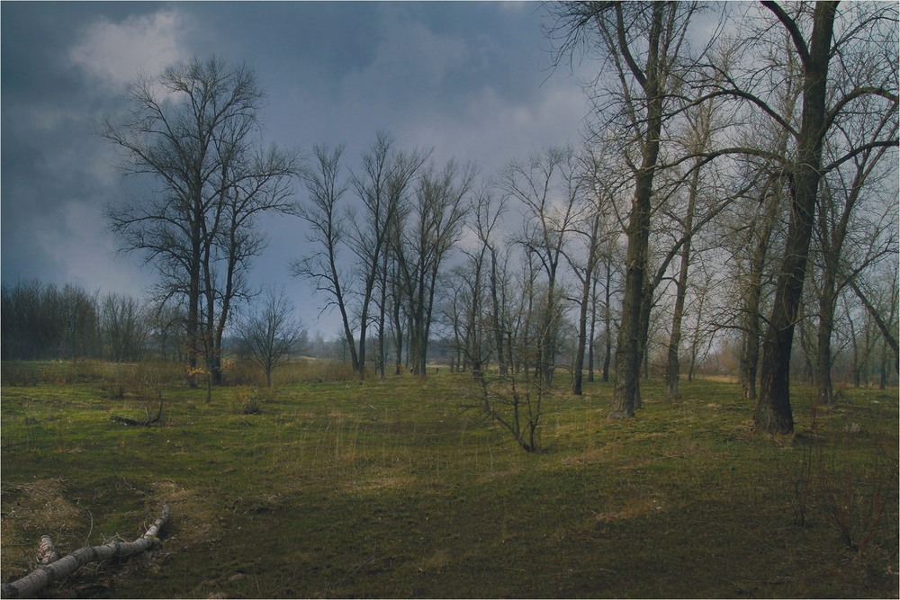 Фотографія Графика / Edward / photographers.ua