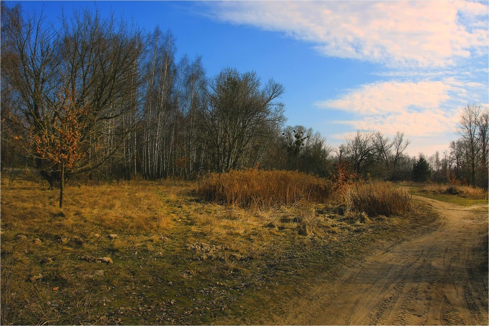 Фотографія Серія "Паркові походеньки". Шляхи весни / Edward / photographers.ua