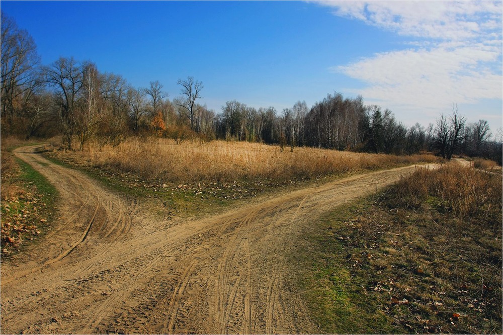 Фотографія Серія "Паркові походеньки". Шляхи весни (2) / Edward / photographers.ua
