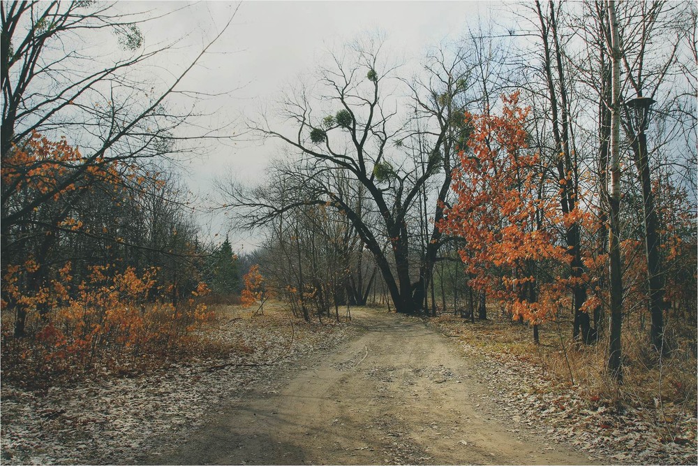 Фотографія Серія "Паркові походеньки". Перші дні весни / Edward / photographers.ua