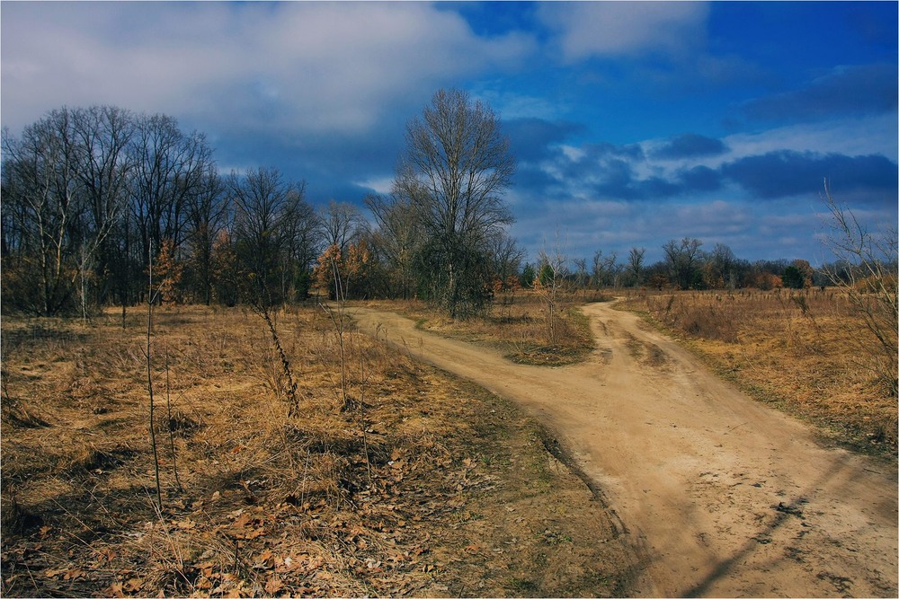 Фотографія Серія "Паркові походеньки". Хмари над шляхами / Edward / photographers.ua