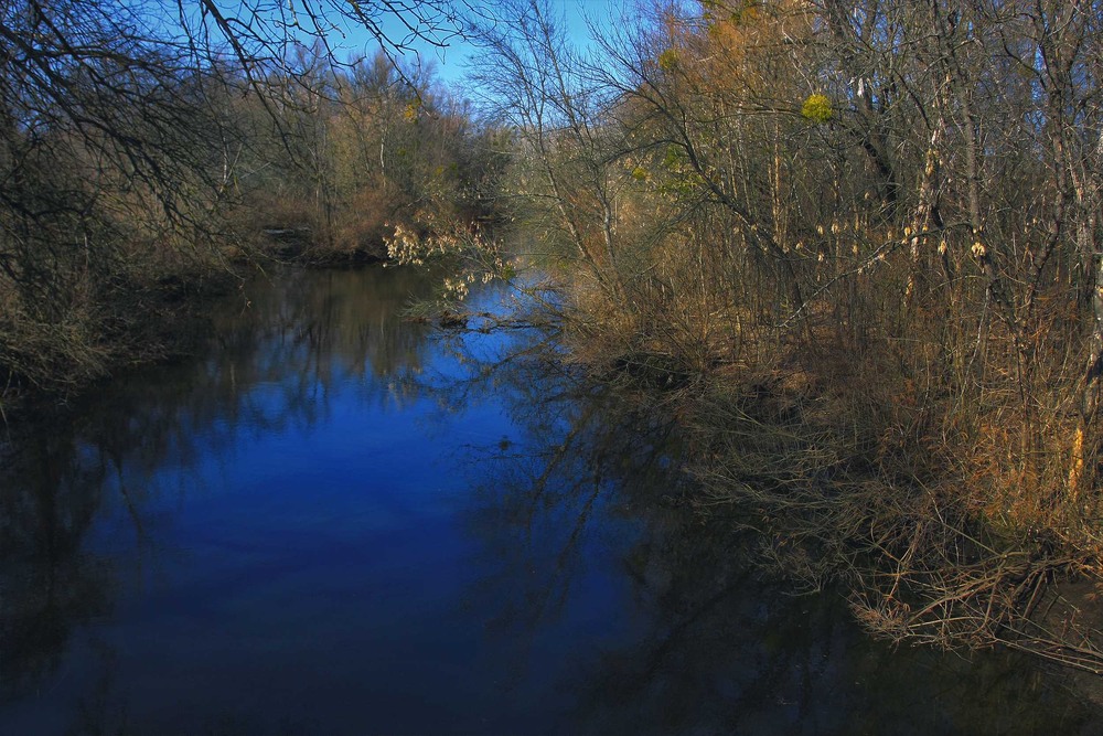Фотографія Серія "Паркові походеньки". Тиша над водою / Edward / photographers.ua