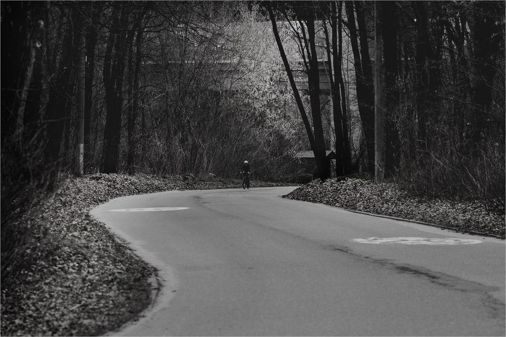 Фотографія Жанр / Edward / photographers.ua