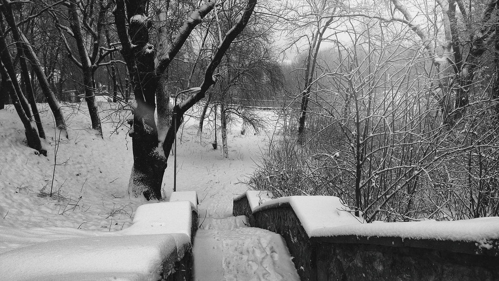 Фотографія light winter coverlet / ver.2 / Edward Kulish / photographers.ua