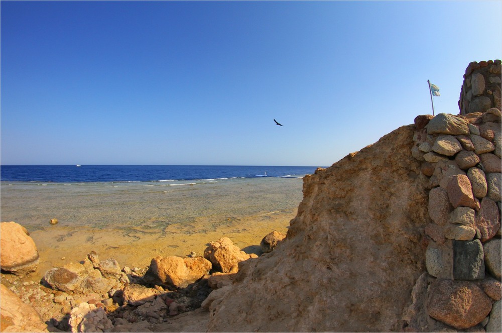 Фотографія 16-та година дня. / Edward / photographers.ua