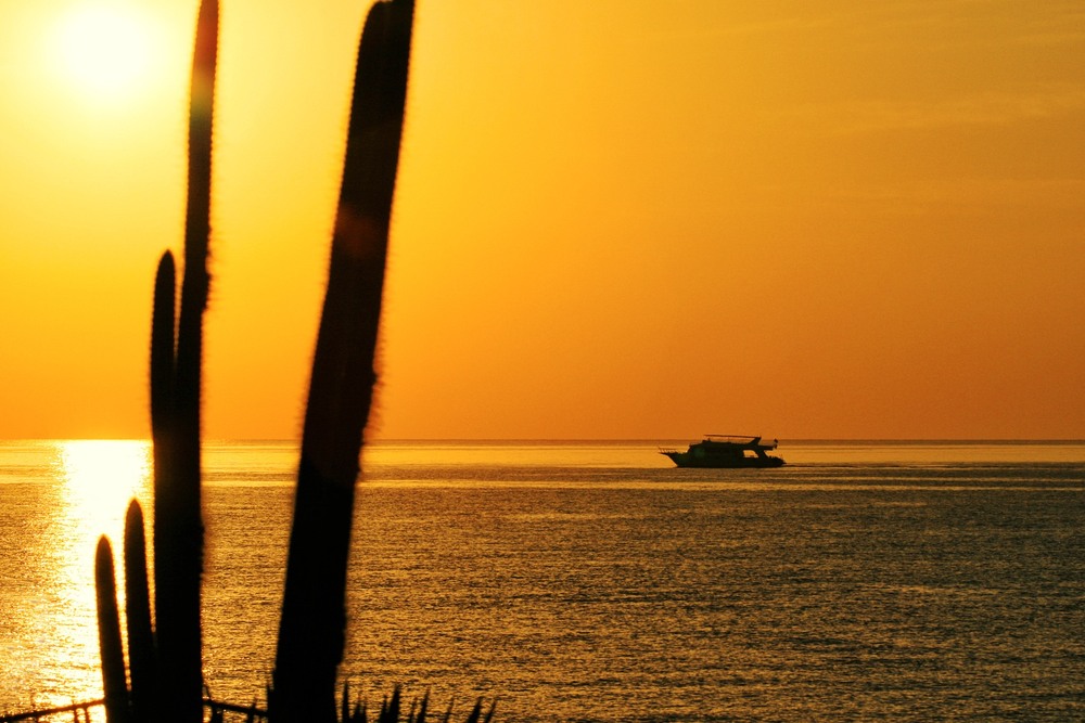 Фотографія Час Сонця / Edward / photographers.ua