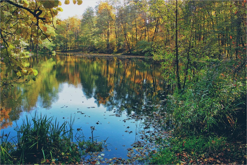 Фотографія Пейзаж / Edward / photographers.ua