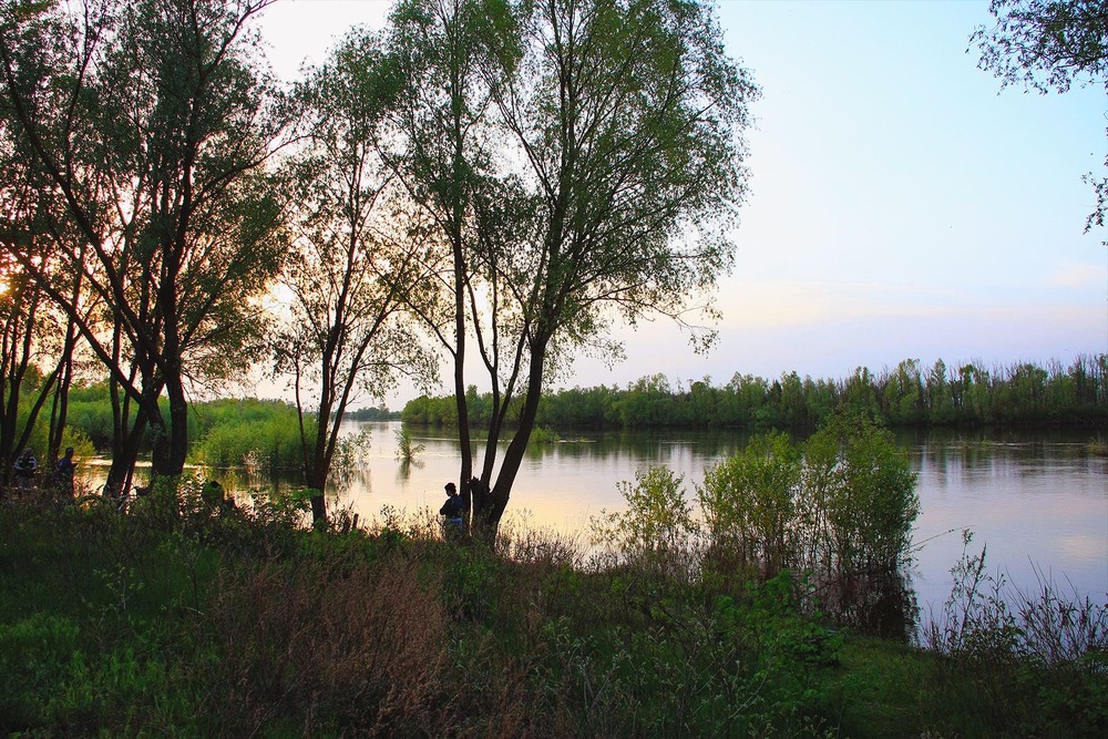 Фотографія Серія "Паркові походеньки". Вечір / Edward / photographers.ua