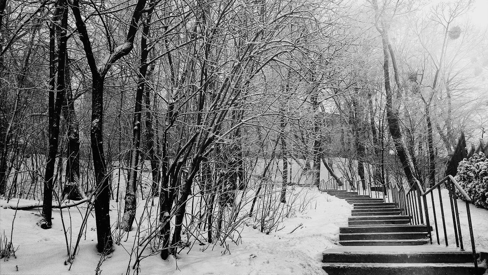 Фотографія light winter coverlet / ver.1 / Edward Kulish / photographers.ua