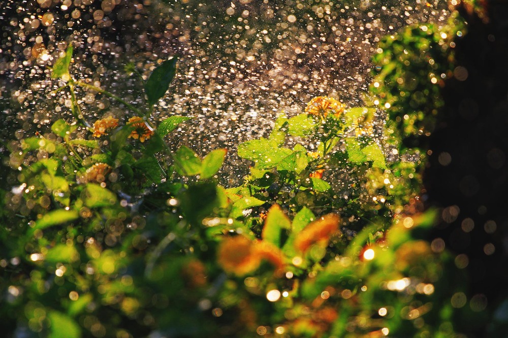 Фотографія Посмішка світла / Edward / photographers.ua