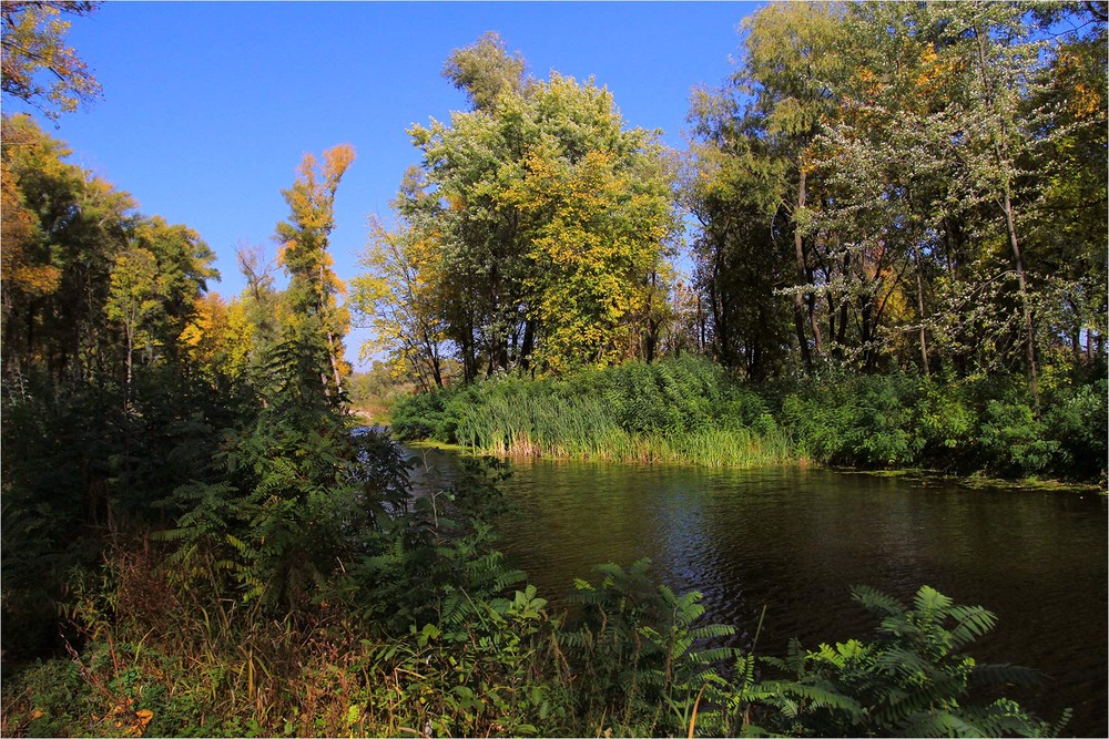 Фотографія Пейзаж / Edward / photographers.ua