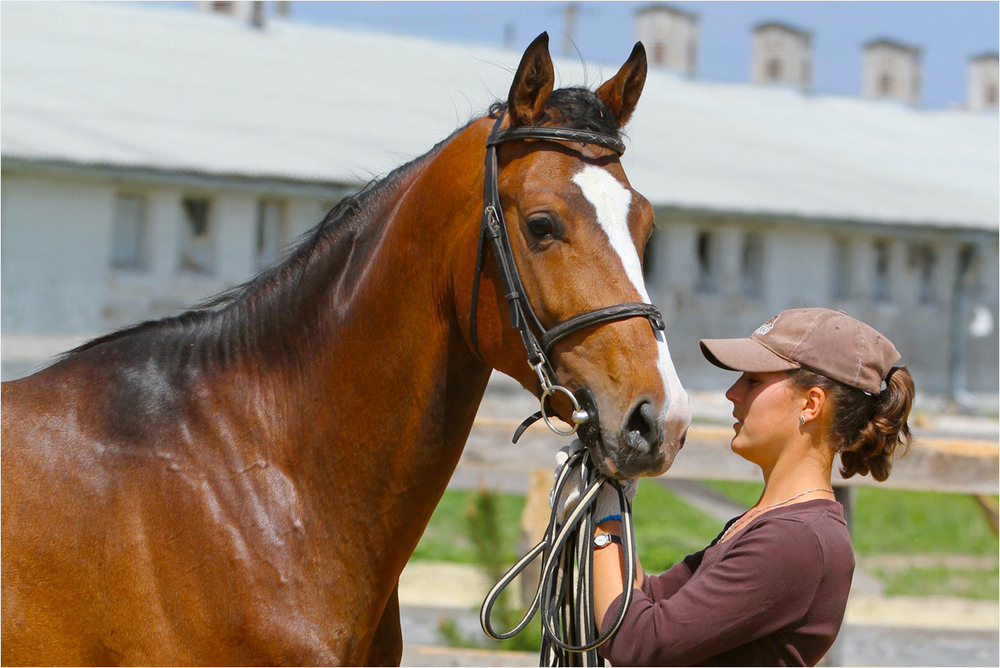 Фотографія Портрет / Edward / photographers.ua
