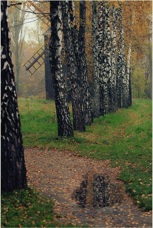 Фотографія Вітряк і осінь / Edward / photographers.ua