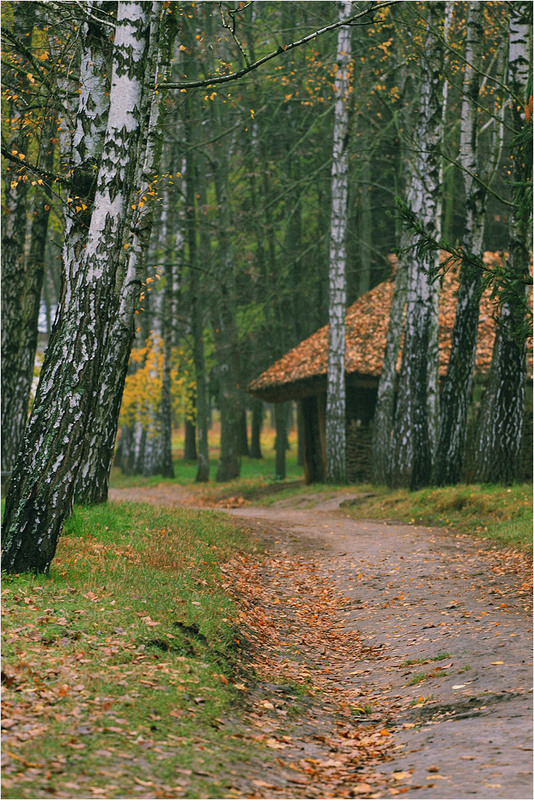 Фотографія Пейзаж / Edward / photographers.ua