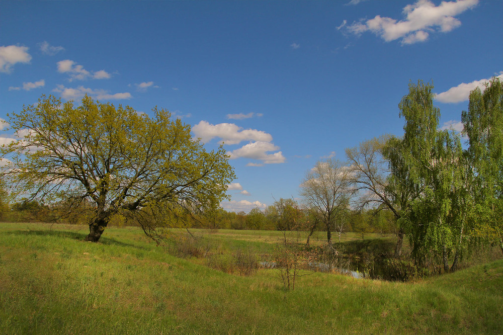Фотографія Серія "Паркові походеньки". Рівновага / Edward / photographers.ua