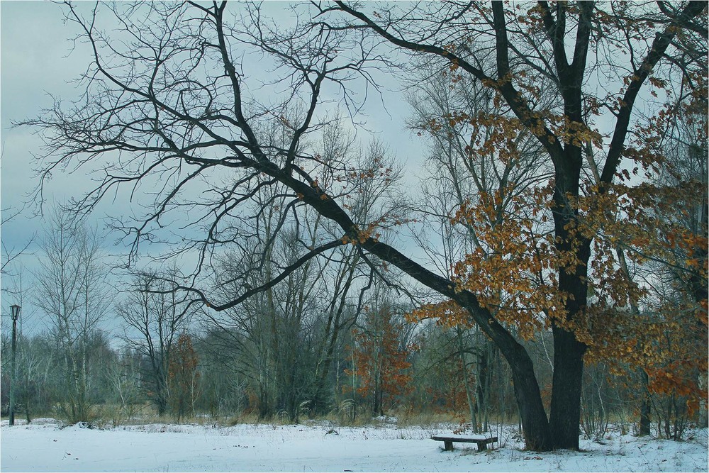 Фотографія Пейзаж / Edward / photographers.ua