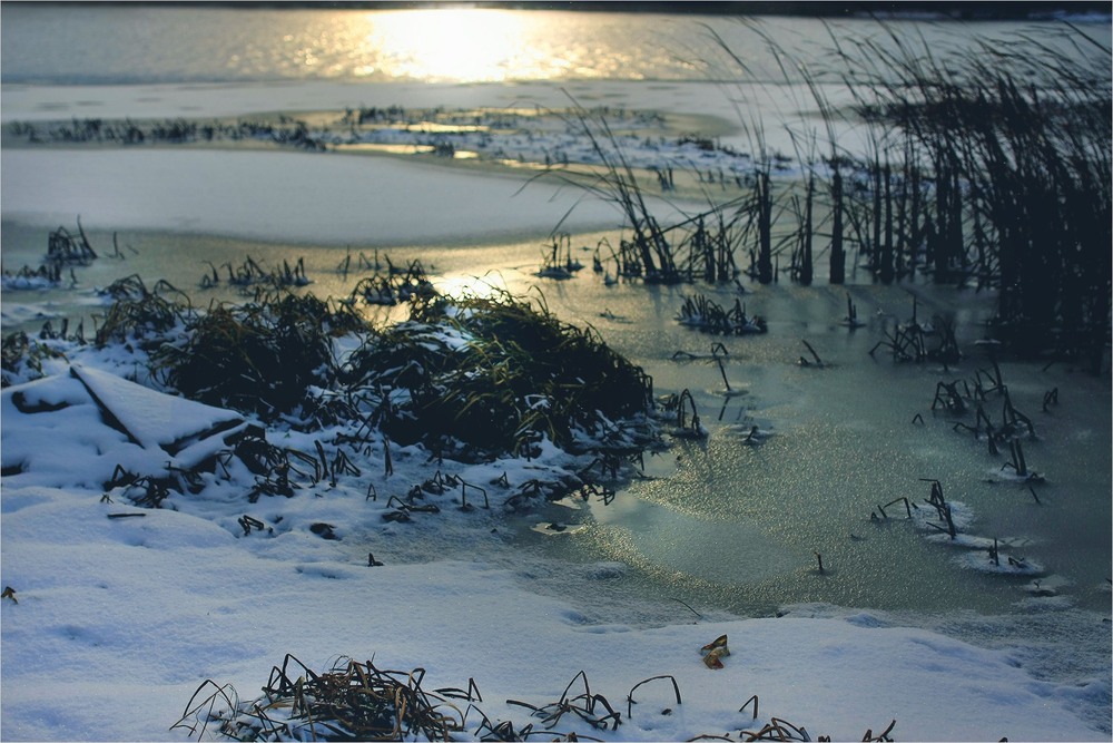 Фотографія Сонце і крига / Edward / photographers.ua