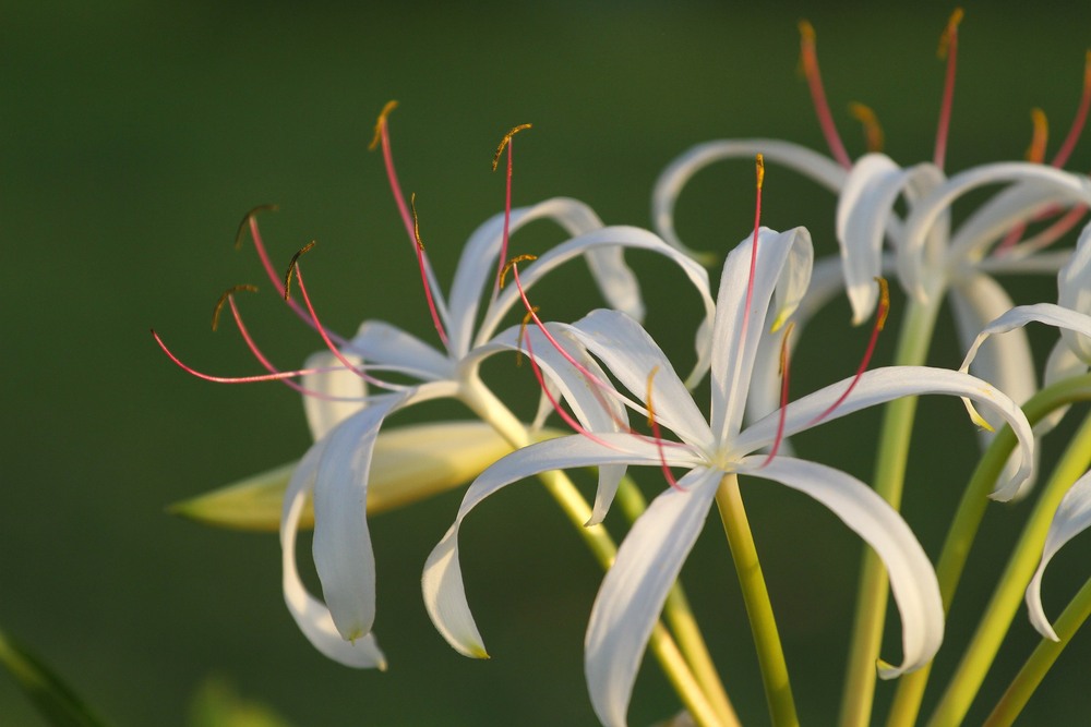 Фотографія Пейзаж / Edward / photographers.ua