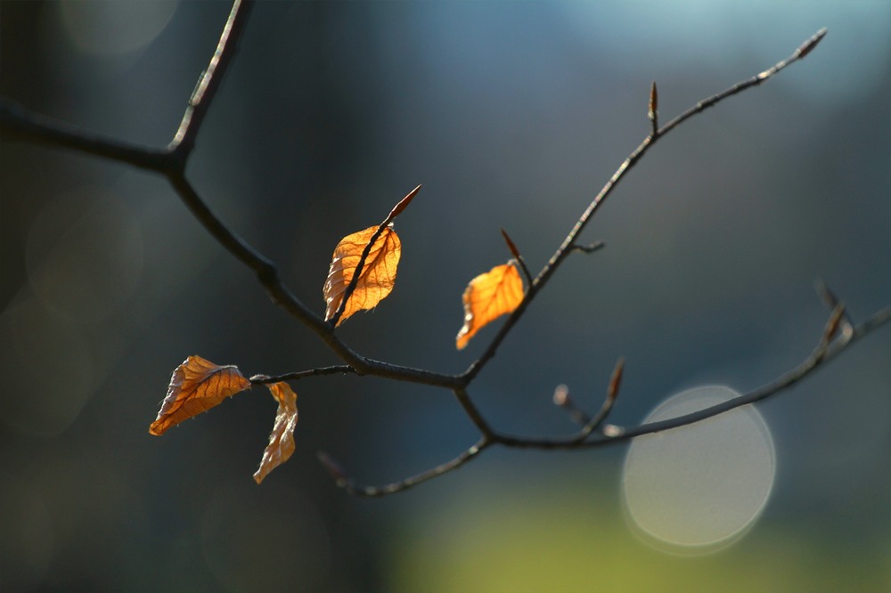 Фотографія Пейзаж / Edward / photographers.ua