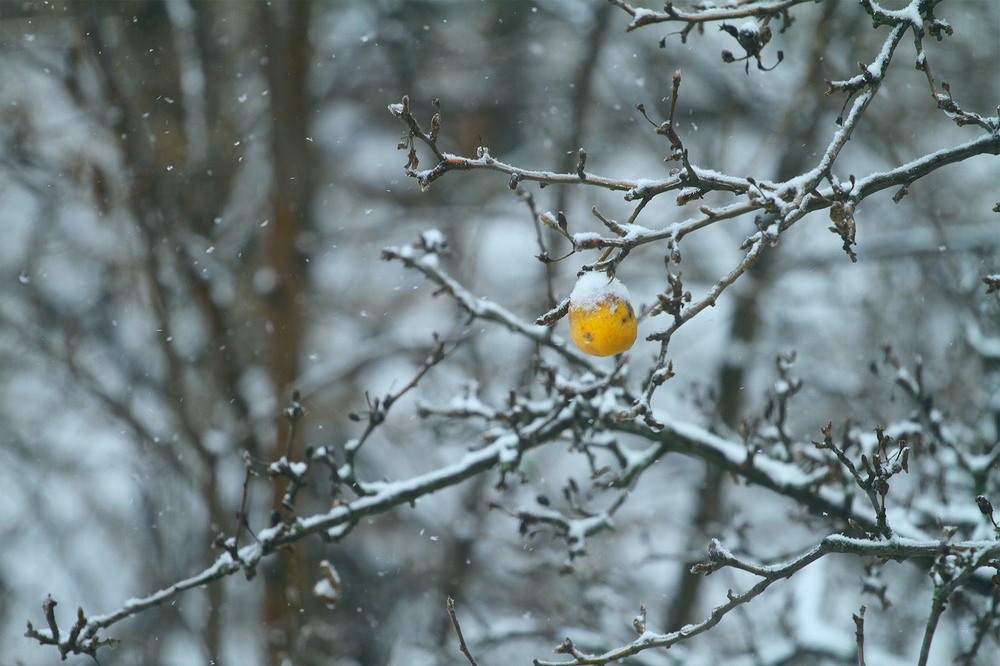 Фотографія Останній штрих літа / Edward / photographers.ua