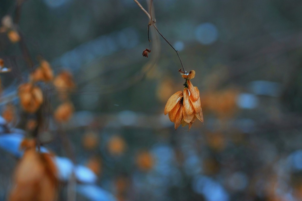 Фотографія Пейзаж / Edward / photographers.ua