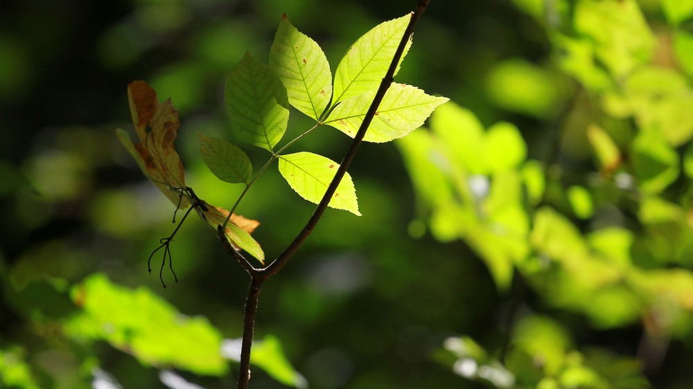 Фотографія Пейзаж / Edward / photographers.ua