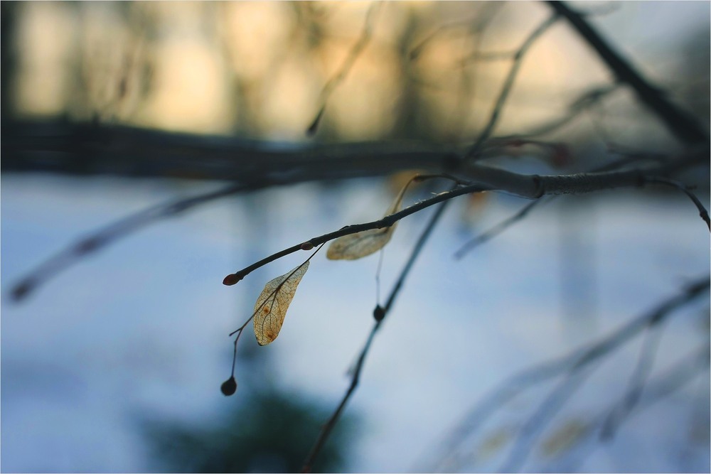 Фотографія Пейзаж / Edward / photographers.ua