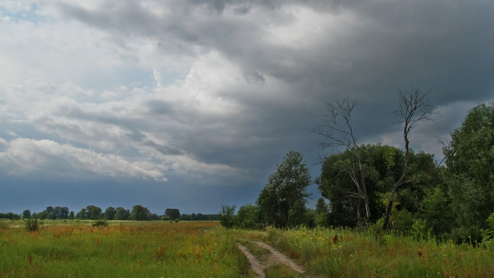 Фотографія Серед молоді / Edward / photographers.ua