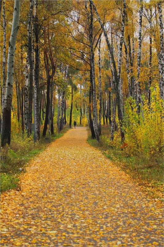 Фотографія Дихає прозора прохолода / Edward / photographers.ua