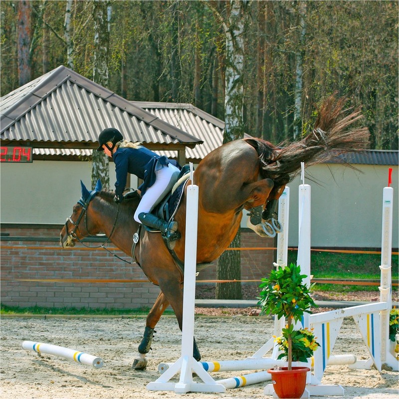 Фотографія — чотири / Edward / photographers.ua