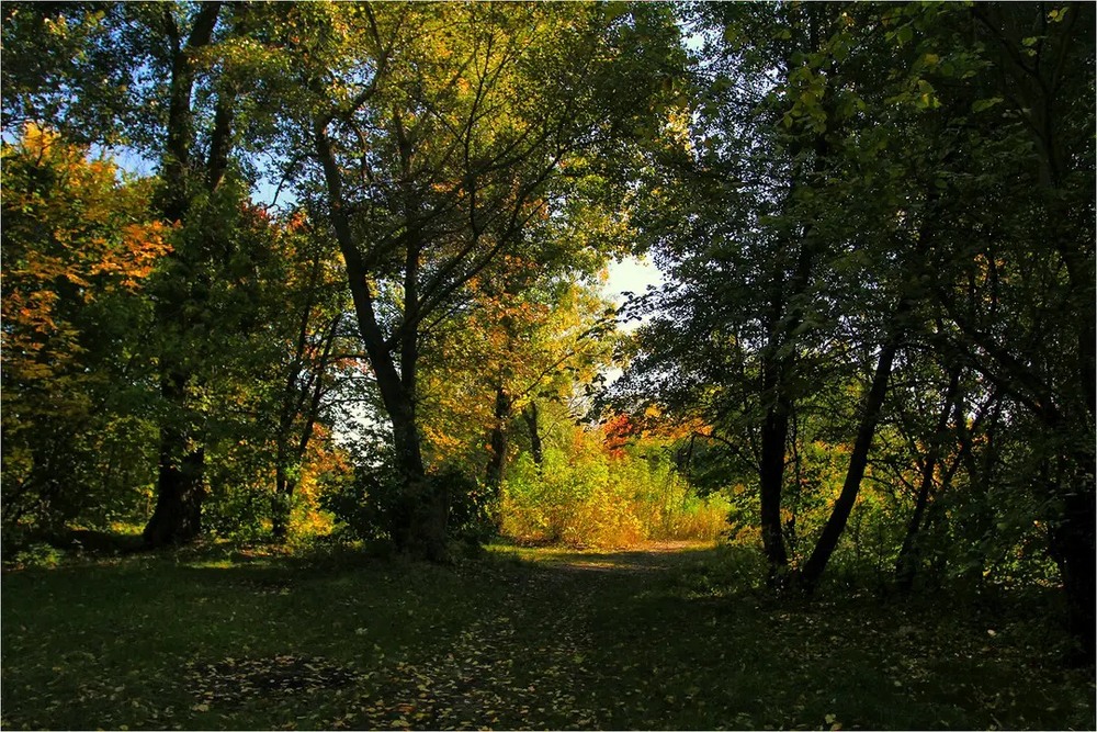 Фотографія Пейзаж / Edward / photographers.ua