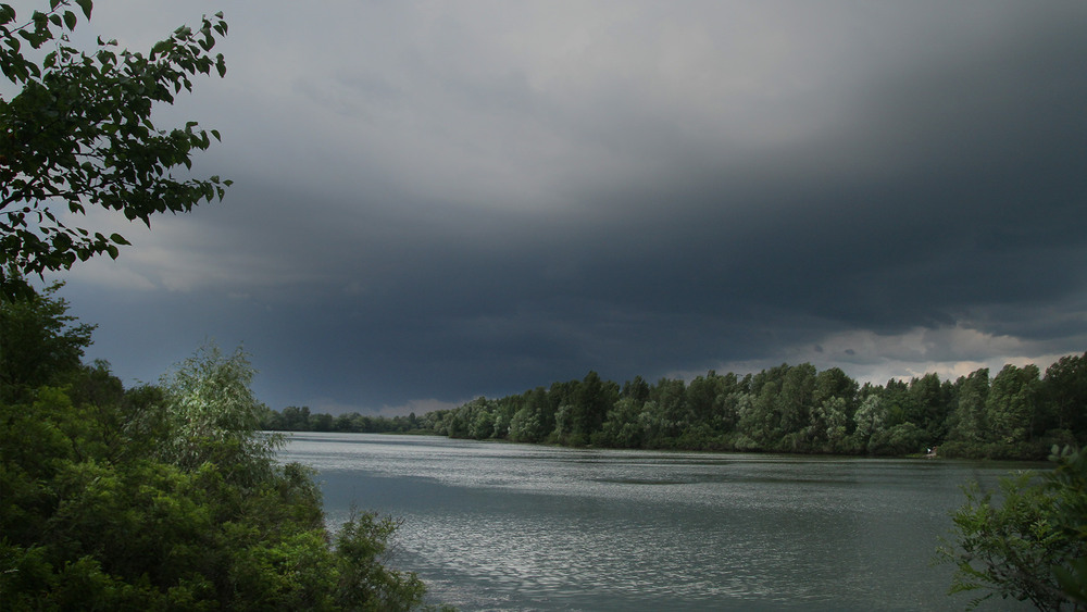 Фотографія ПЕРЕД ДОЩЕМ / Edward / photographers.ua