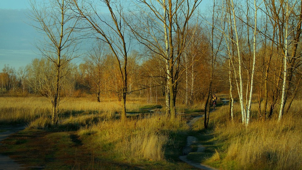 Фотографія Різними дорогами / Edward / photographers.ua