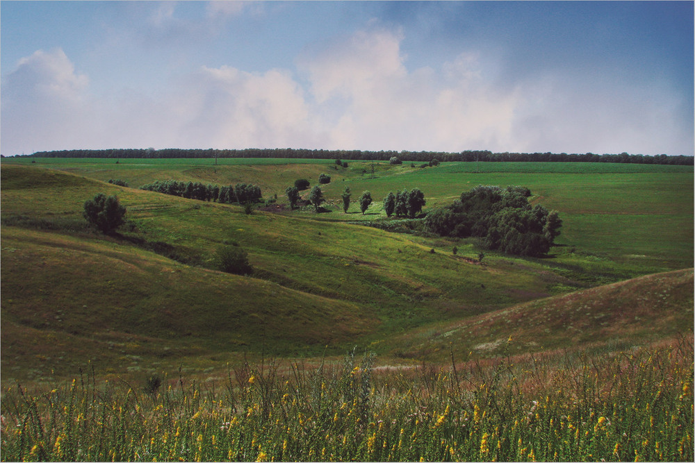 Фотографія СОНЦЕ І ПІСНЯ ВГОРІ / Edward / photographers.ua