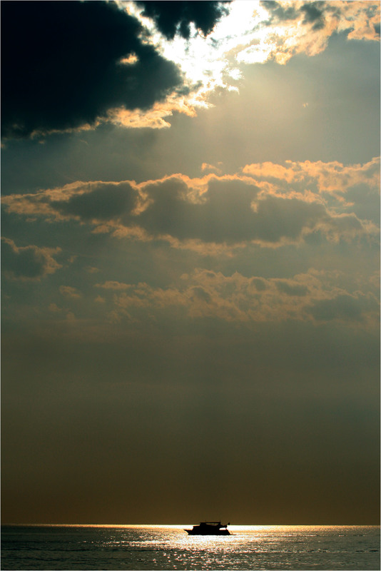 Фотографія Серед світла / Edward / photographers.ua