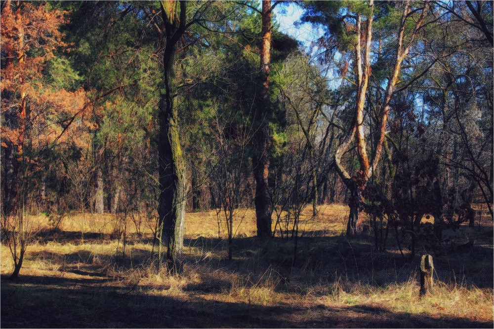 Фотографія Графика / Edward / photographers.ua